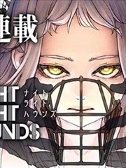 地球脉动 天鹅视频分类